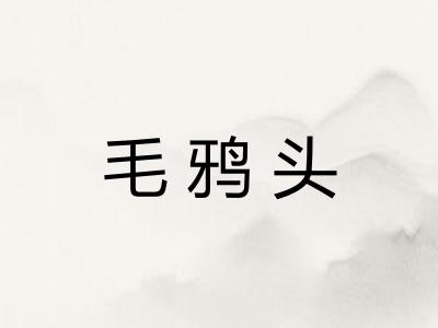 毛鸦头 毛鸦头