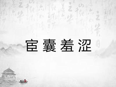 宦囊羞涩
