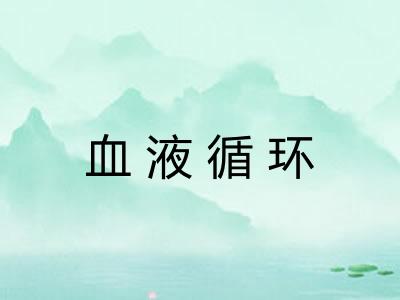 血液循环