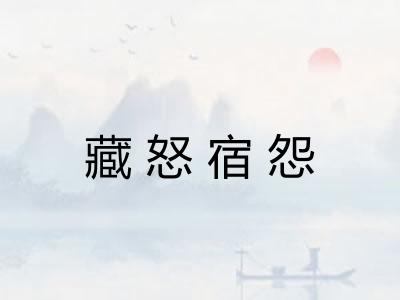藏怒宿怨