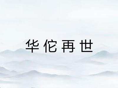 华佗再世