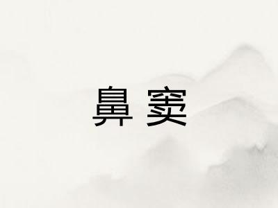 鼻窦