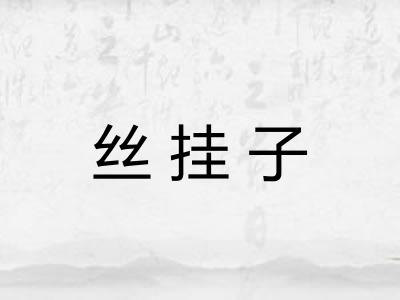 丝挂子 丝挂子