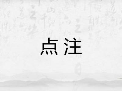点注