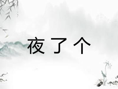 夜了个