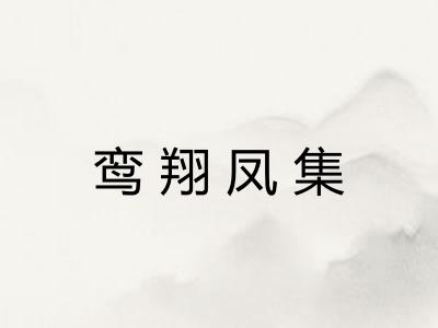 鸾翔凤集