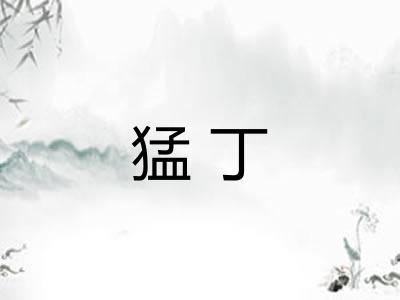 猛丁 猛丁