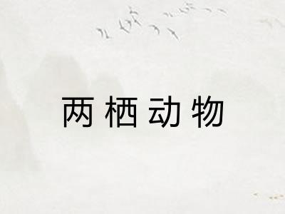 两栖动物
