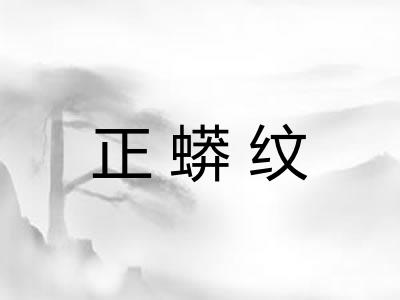 正蟒纹