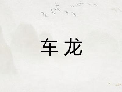 车龙