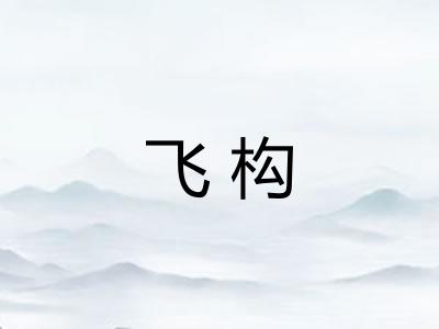飞构