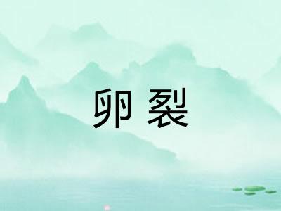 卵裂