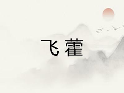 飞藿