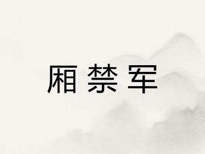 厢禁军 厢禁军