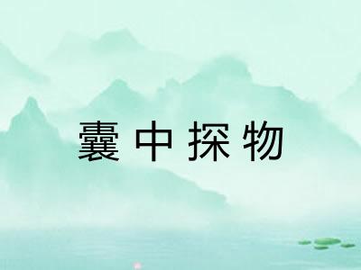 囊中探物