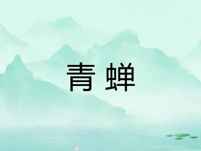 青蝉 青蝉