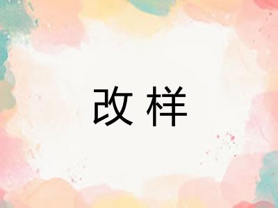 改样