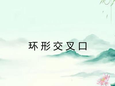 环形交叉口