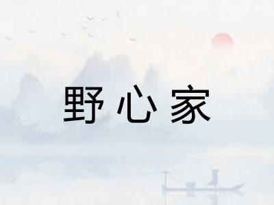 野心家