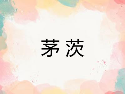 茅茨