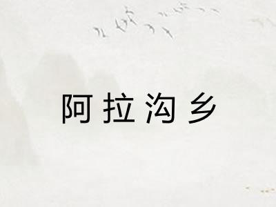 阿拉沟乡