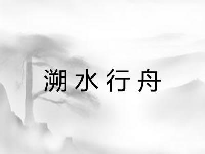 溯水行舟