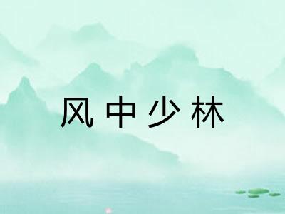 风中少林