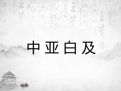 中亚白及