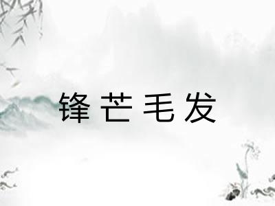 锋芒毛发