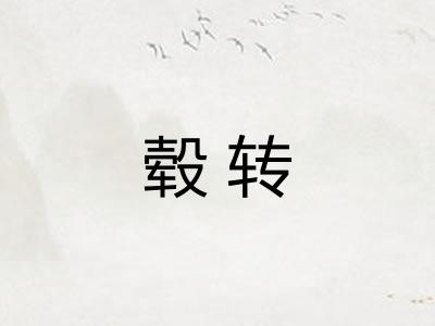 毂转