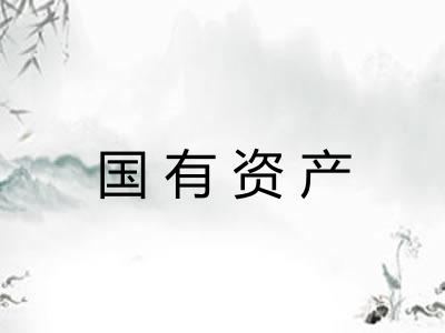 国有资产