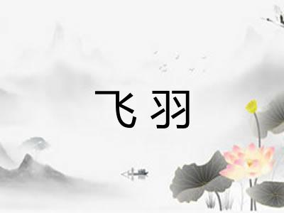 飞羽