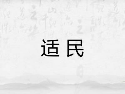 适民