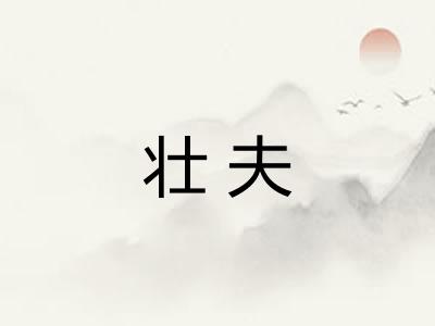 壮夫