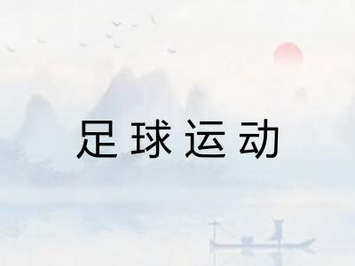 足球运动