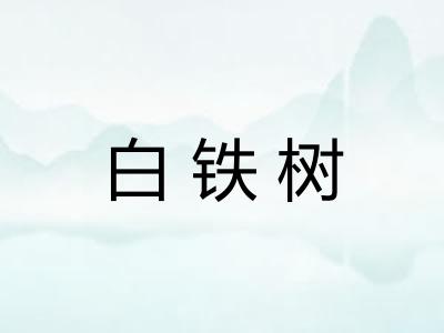 白铁树 白铁树