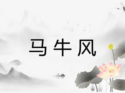 马牛风