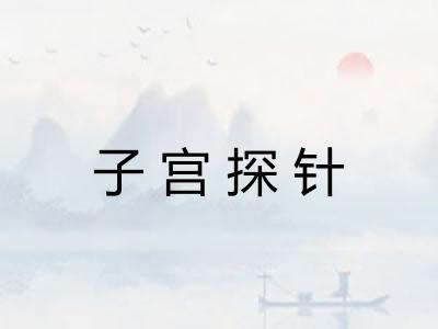 子宫探针