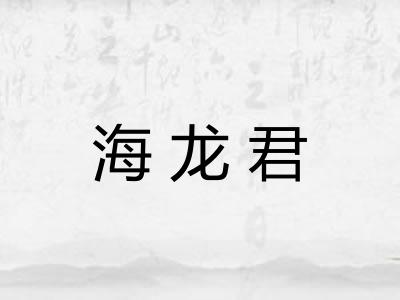 海龙君