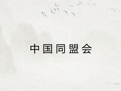 中国同盟会