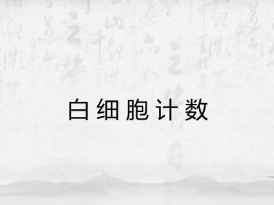 白细胞计数