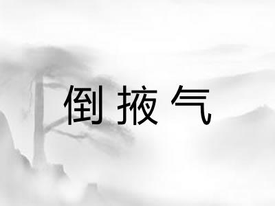 倒掖气