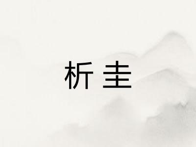 析圭 析圭