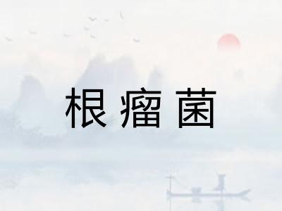 根瘤菌
