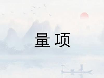 量项
