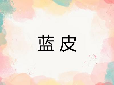 蓝皮