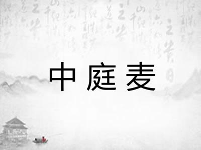 中庭麦