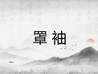 罩袖