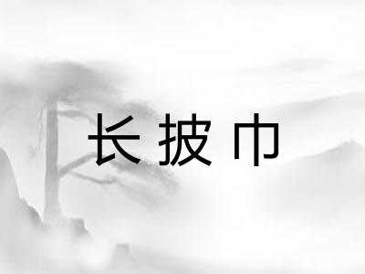 长披巾