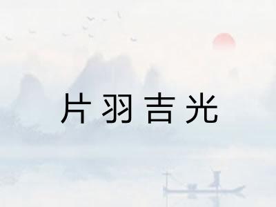片羽吉光